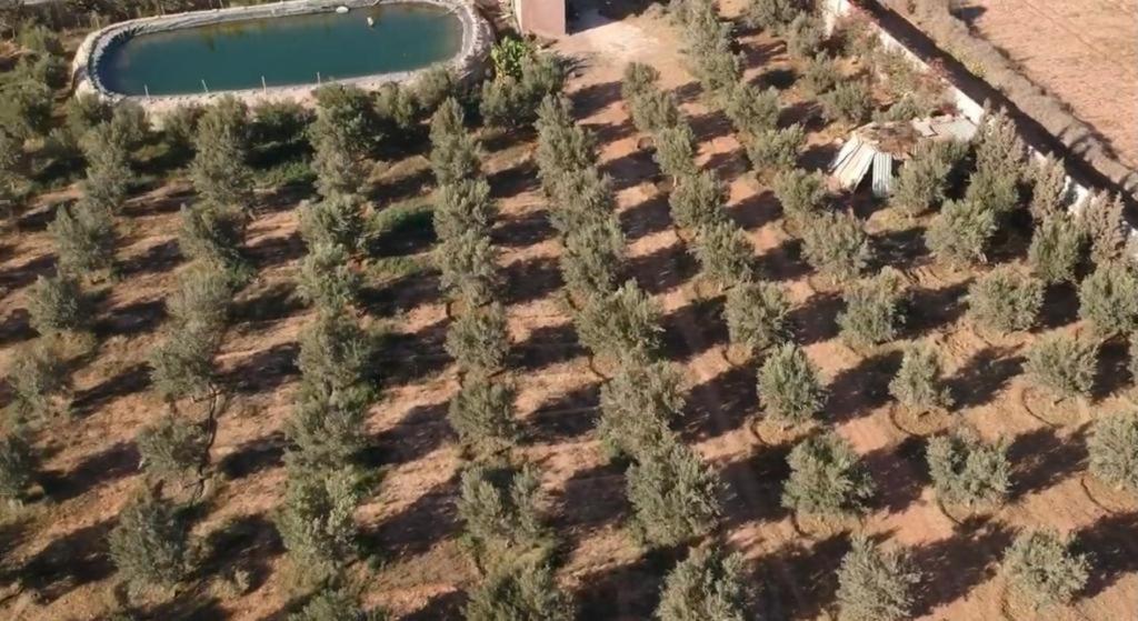 Ferme Environ D Agadir